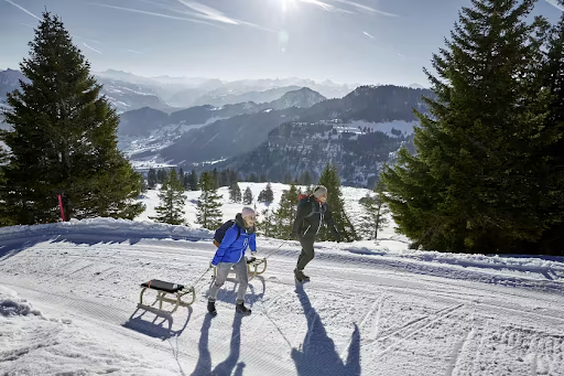 Swiss Landscape 2